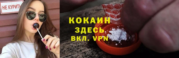 ПСИЛОЦИБИНОВЫЕ ГРИБЫ Абаза