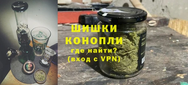 ПСИЛОЦИБИНОВЫЕ ГРИБЫ Абаза