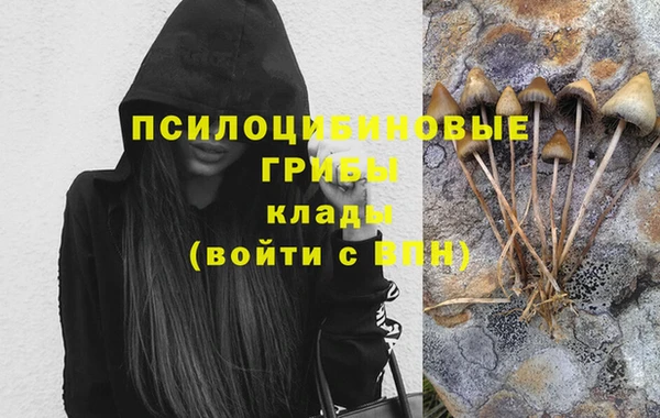 ПСИЛОЦИБИНОВЫЕ ГРИБЫ Абаза