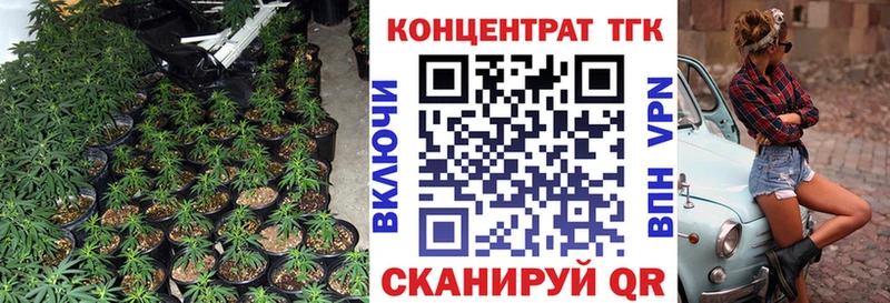 ссылка на мегу как зайти  Сольвычегодск  Дистиллят ТГК Wax 