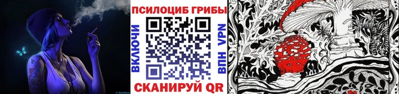 купить закладку  Сольвычегодск  Галлюциногенные грибы MAGIC MUSHROOMS 